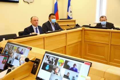 Депутаты рекомендовали принять поправки в закон «О Правительстве Иркутской области» по вопросам предоставления земельных участков